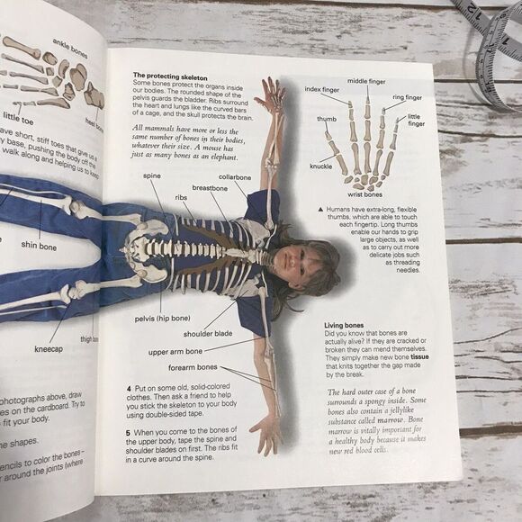 MAKE IT WORK! BODY THE HANDS-0N APPROACH TO SCIENCE - Picture 4 of 6
